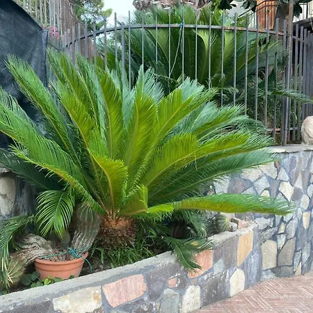 Orlando Apartmán